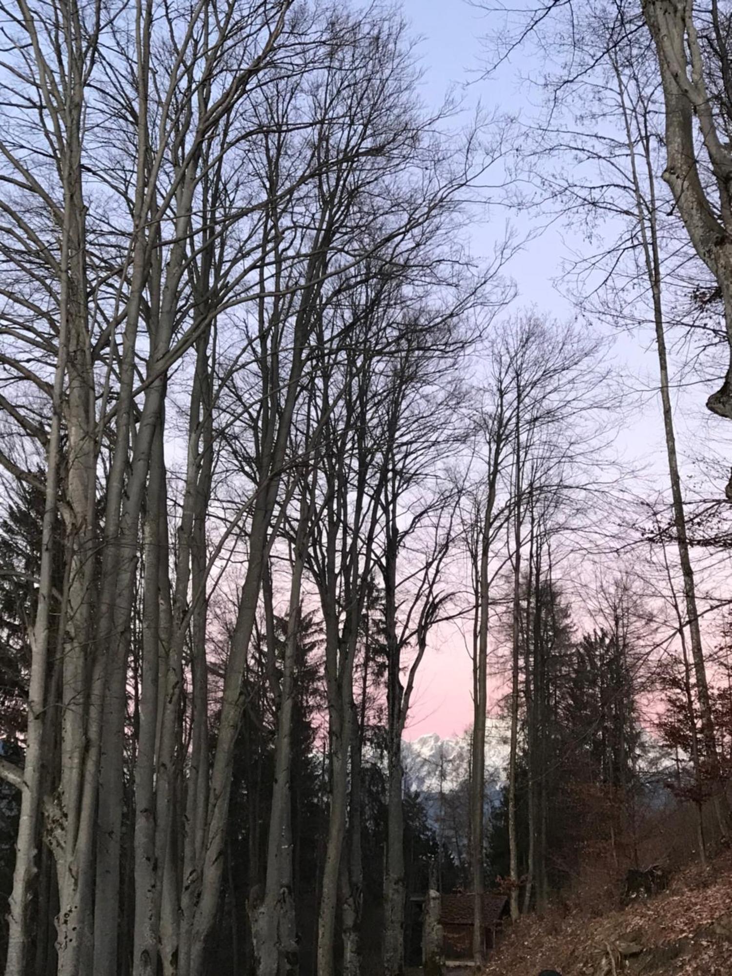 Lioda Living Pieve di Cadore Habitación foto